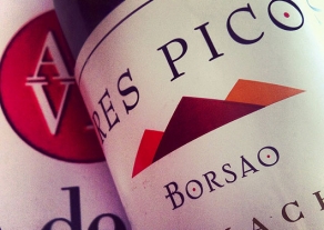 Tres Picos 2010